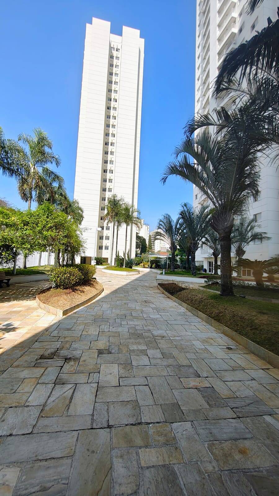 #14459 - Apartamento para Venda em São Paulo - SP