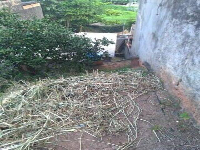 Terreno para Venda em São Paulo - 5