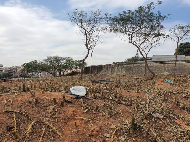 Terreno para Venda em Osasco - 4