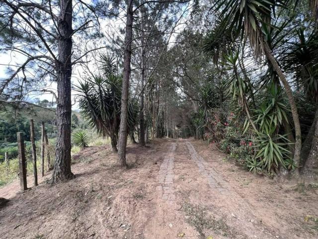 Área para Venda em Cotia - 5