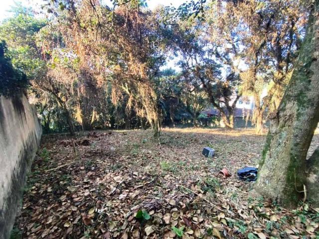Terreno para Venda em Cotia - 5