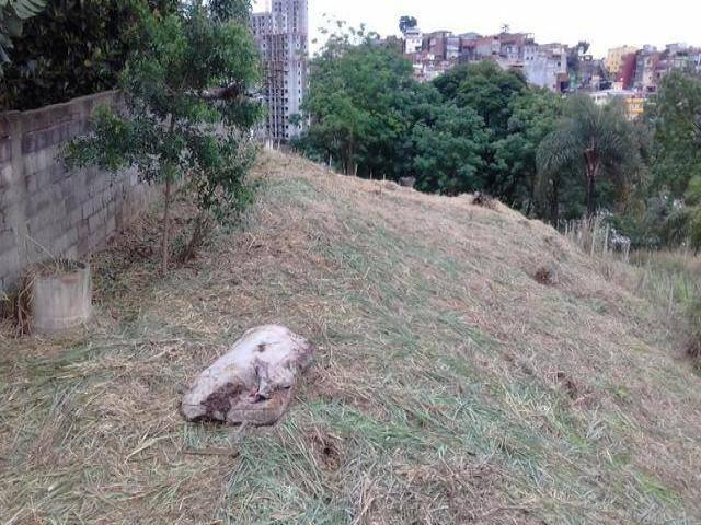 Terreno para Venda em São Paulo - 2