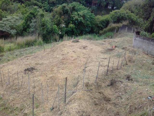 Terreno para Venda em São Paulo - 3