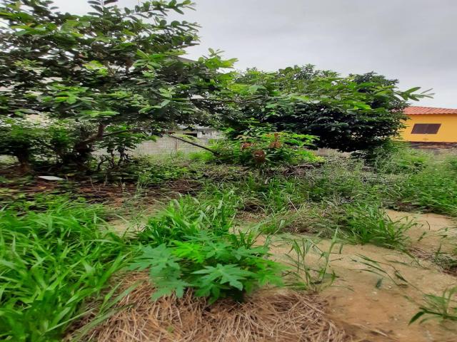 Terreno para Venda em Osasco - 3