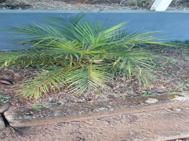 Terreno para Venda em Ibiúna - 5