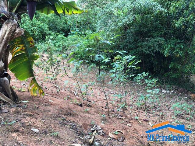 Terreno para Venda em Cotia - 3
