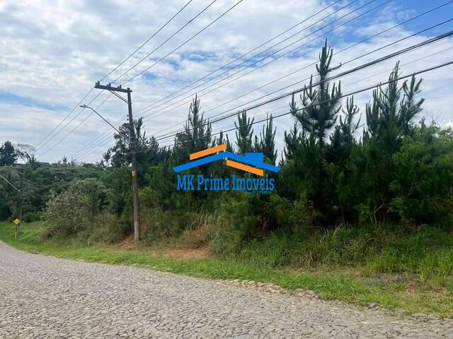 #8840 - Área para Venda em Cotia - SP