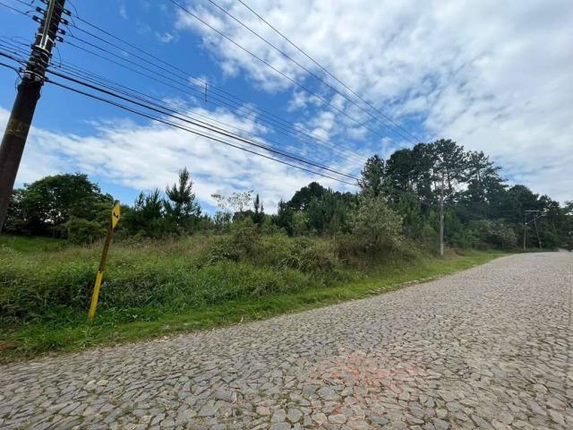 Área para Venda em Cotia - 5