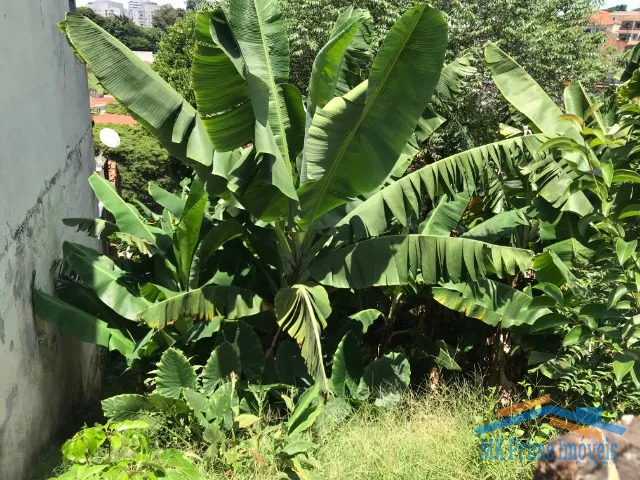 #9515 - Terreno para Venda em São Paulo - SP