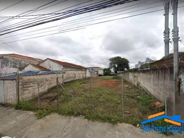 Terreno para Locação em São Paulo - 4