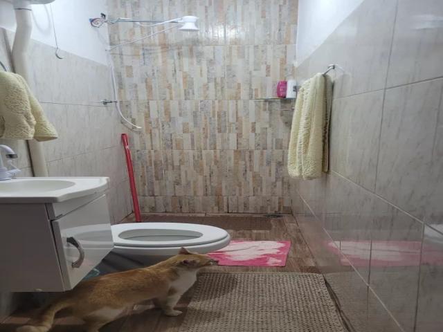Casa Térrea para Venda em Osasco - 5