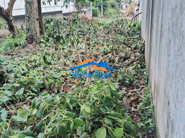 #11625 - Terreno para Venda em São Paulo - SP