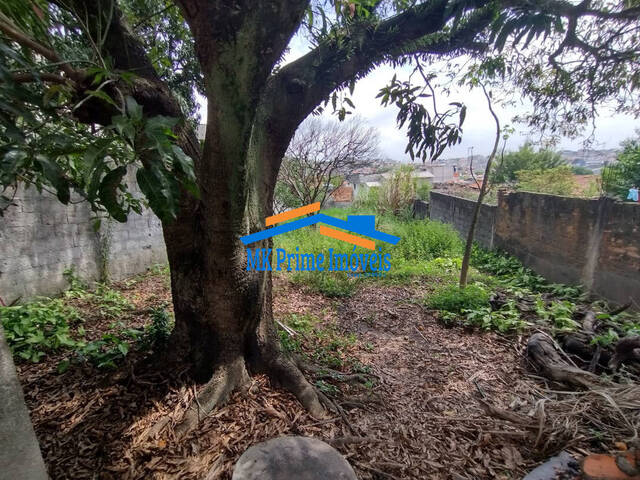#12240 - Área para Venda em São Paulo - SP