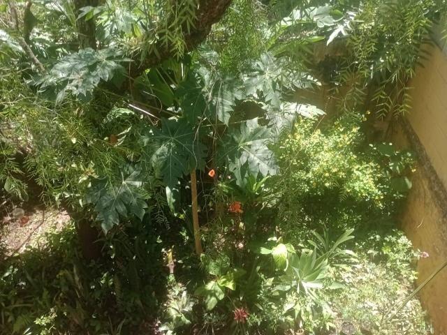 Casa em condomínio para Venda em Cotia - 4
