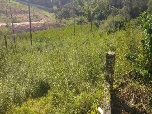 Terreno para Venda em São Roque - 5