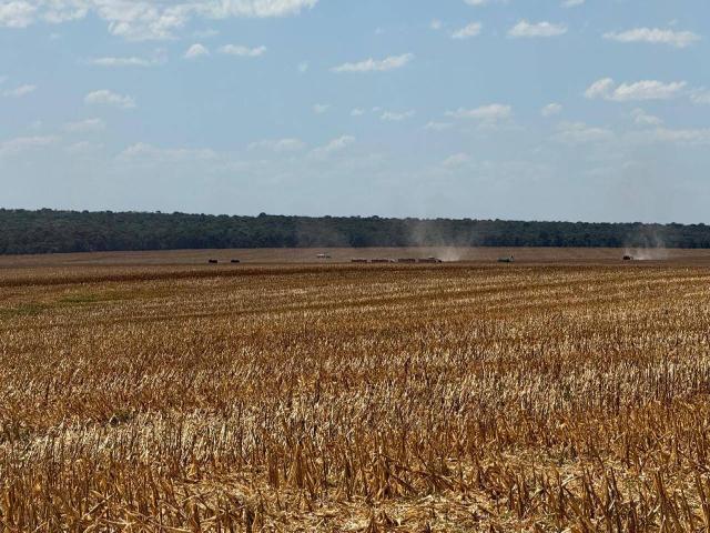 Fazenda para Venda em Sinop - 4