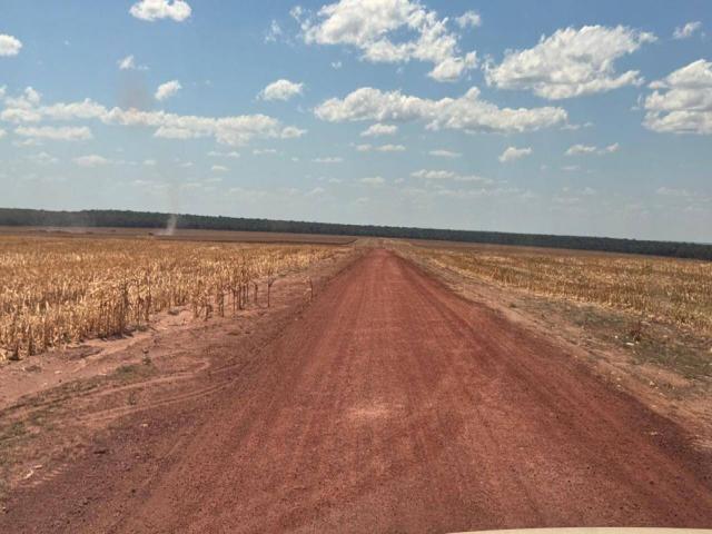 Fazenda para Venda em Sinop - 5