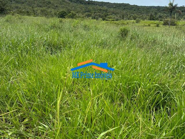 #16285 - Fazenda para Venda em Guarantã do Norte - MT