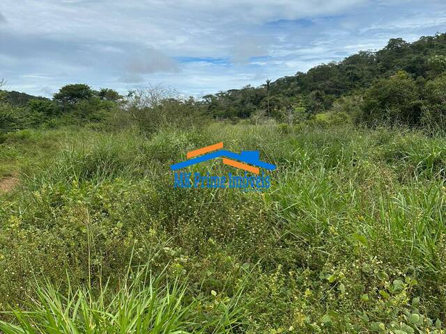 #16285 - Fazenda para Venda em Guarantã do Norte - MT