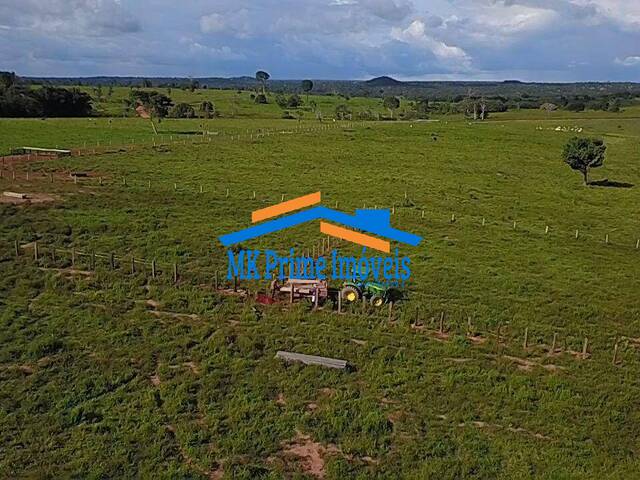 Fazenda para Venda em Alta Floresta - 4