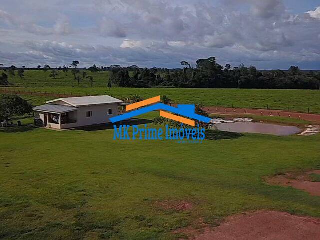Fazenda para Venda em Alta Floresta - 5