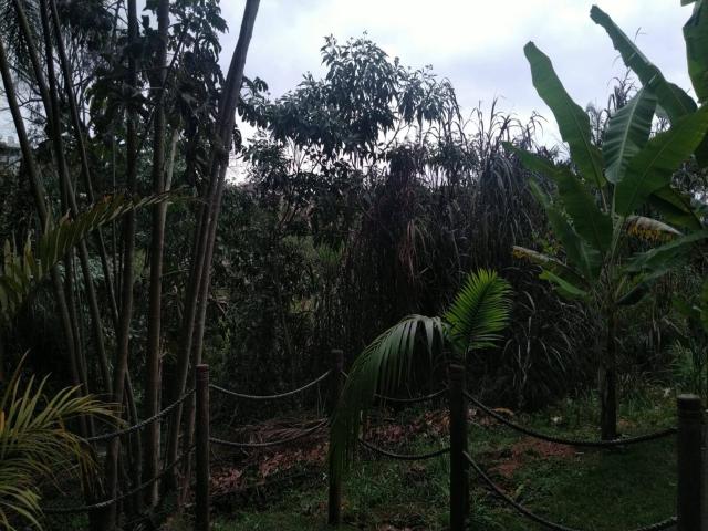 Área para Venda em Jundiaí - 5