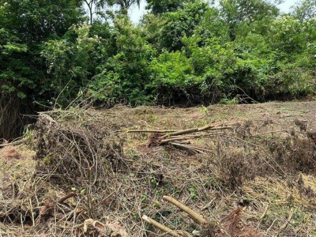 Terreno para Venda em Osasco - 5