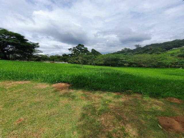 Terreno em condomínio para Venda em Santana de Parnaíba - 5