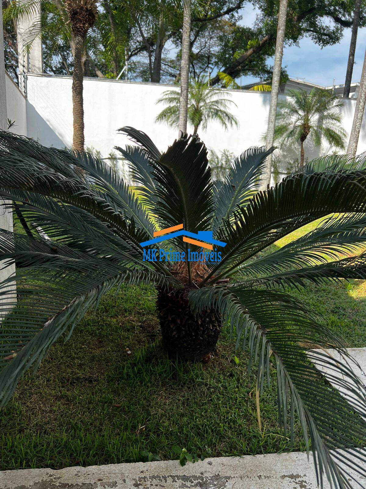 Sobrado, 3 quartos, 850 m² - Foto 94