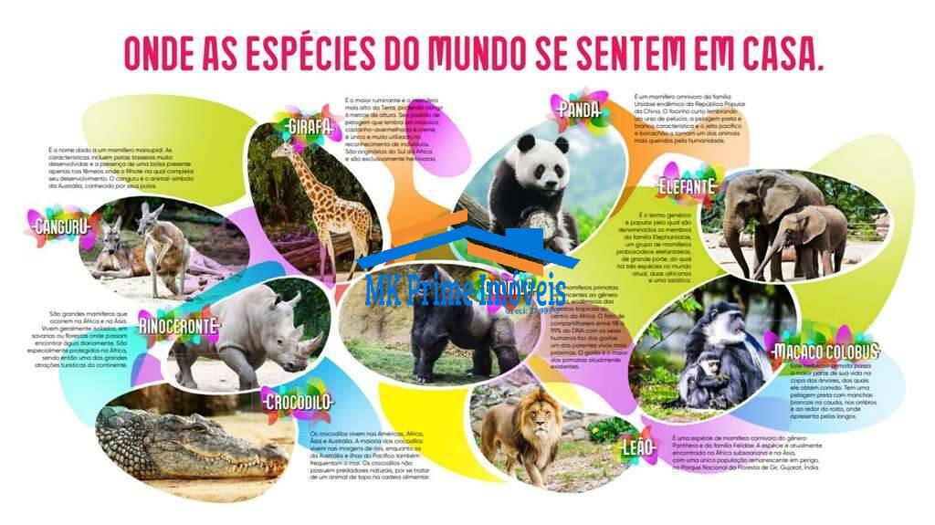 Terreno, 2 hectares - Foto 25