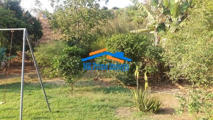 Chácara à venda com 3 quartos, 8500m² - Foto 4