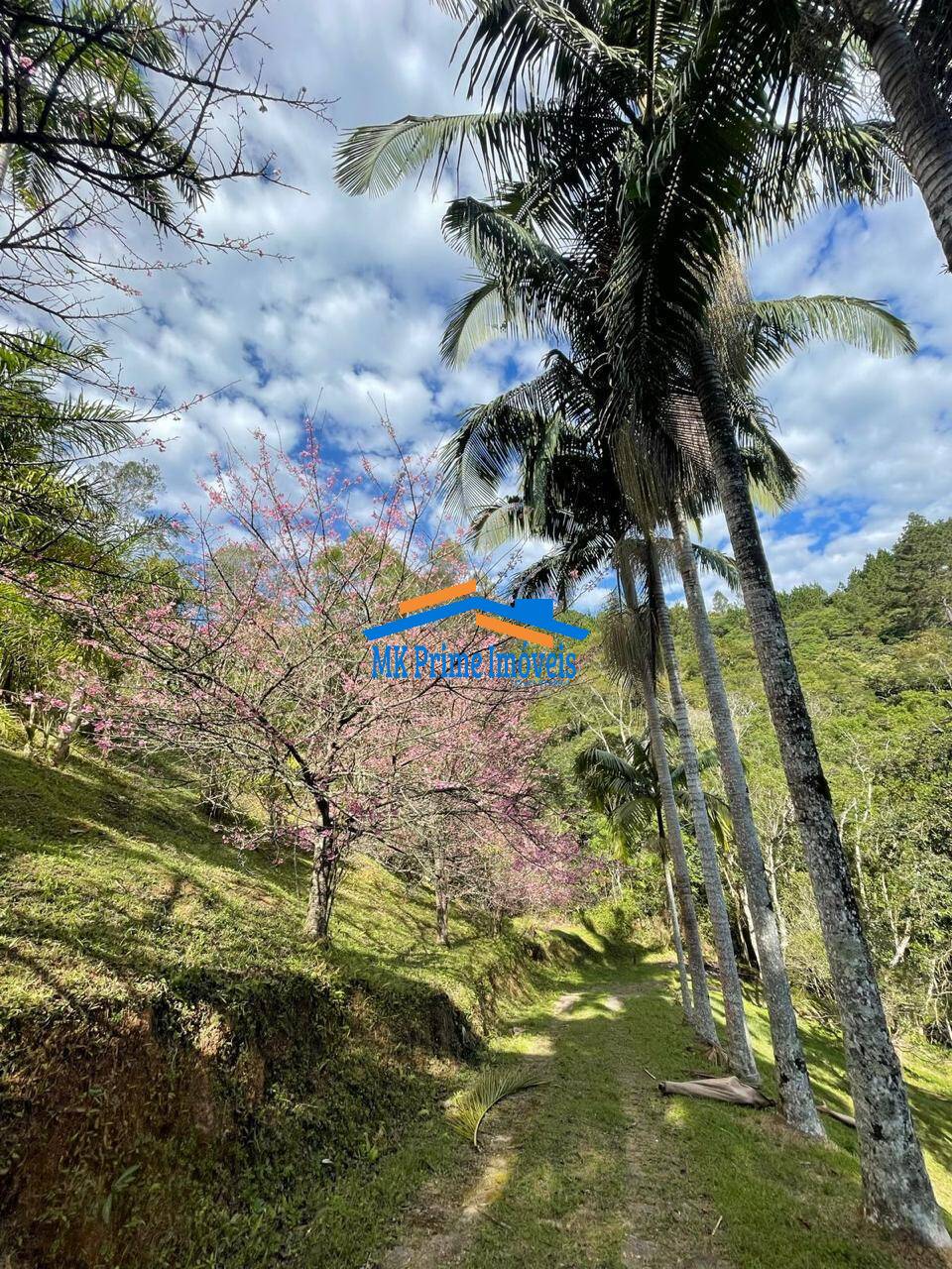 Sítio à venda com 8 quartos, 120000m² - Foto 22