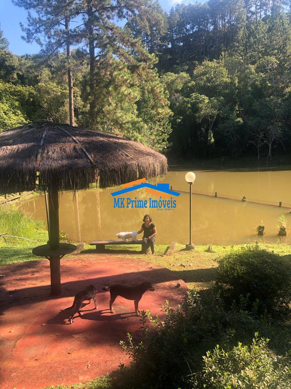 Sítio à venda com 8 quartos, 120000m² - Foto 31