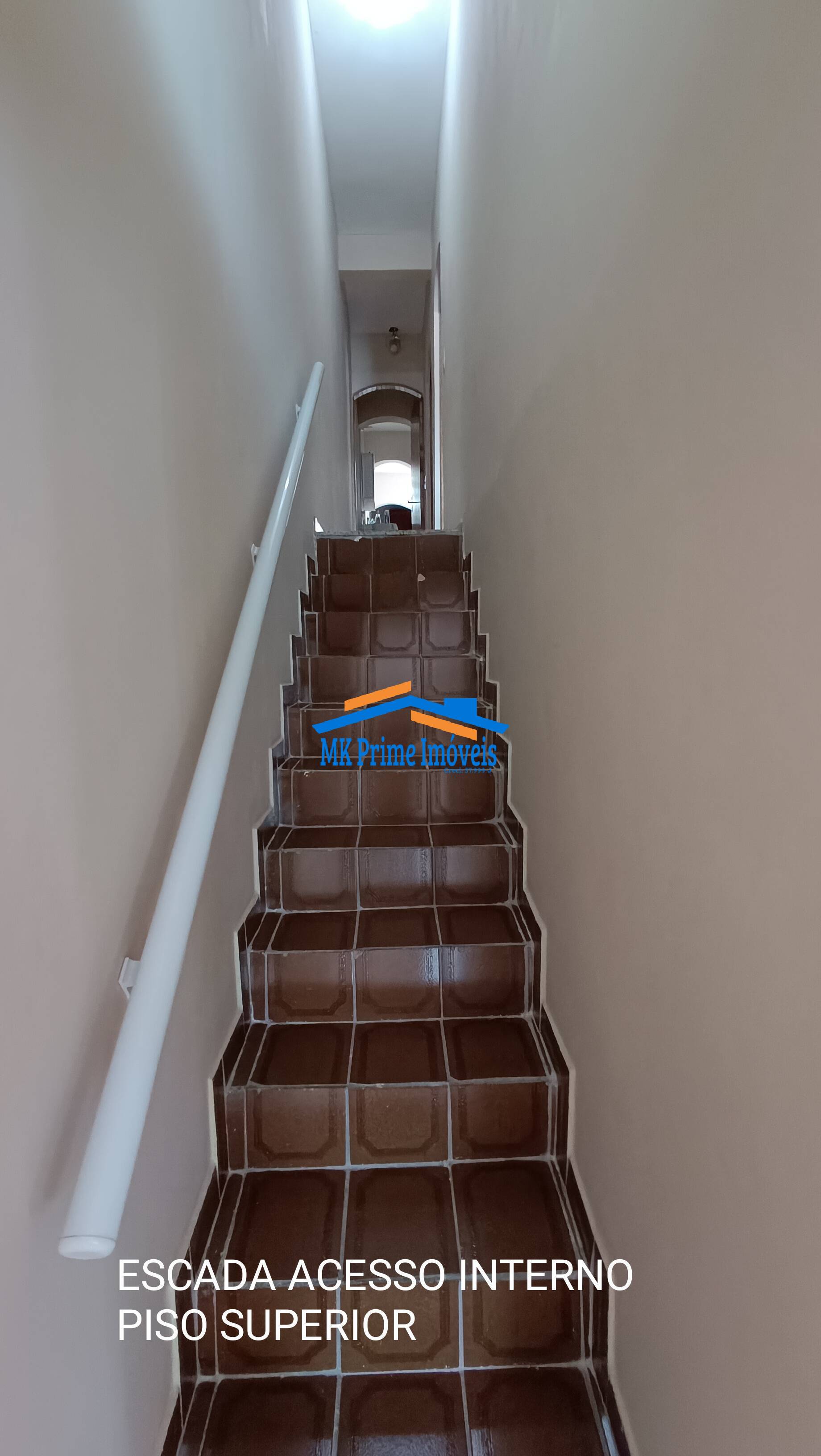 Casa, 5 quartos, 305 m² - Foto 24