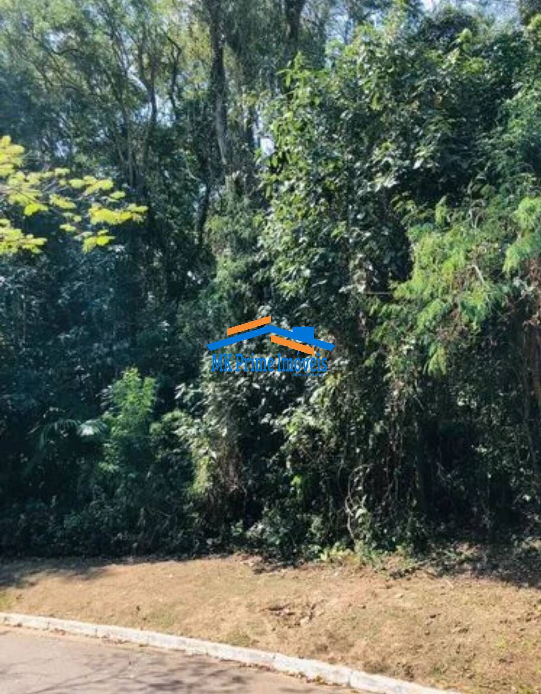Terreno à venda, 1743m² - Foto 3