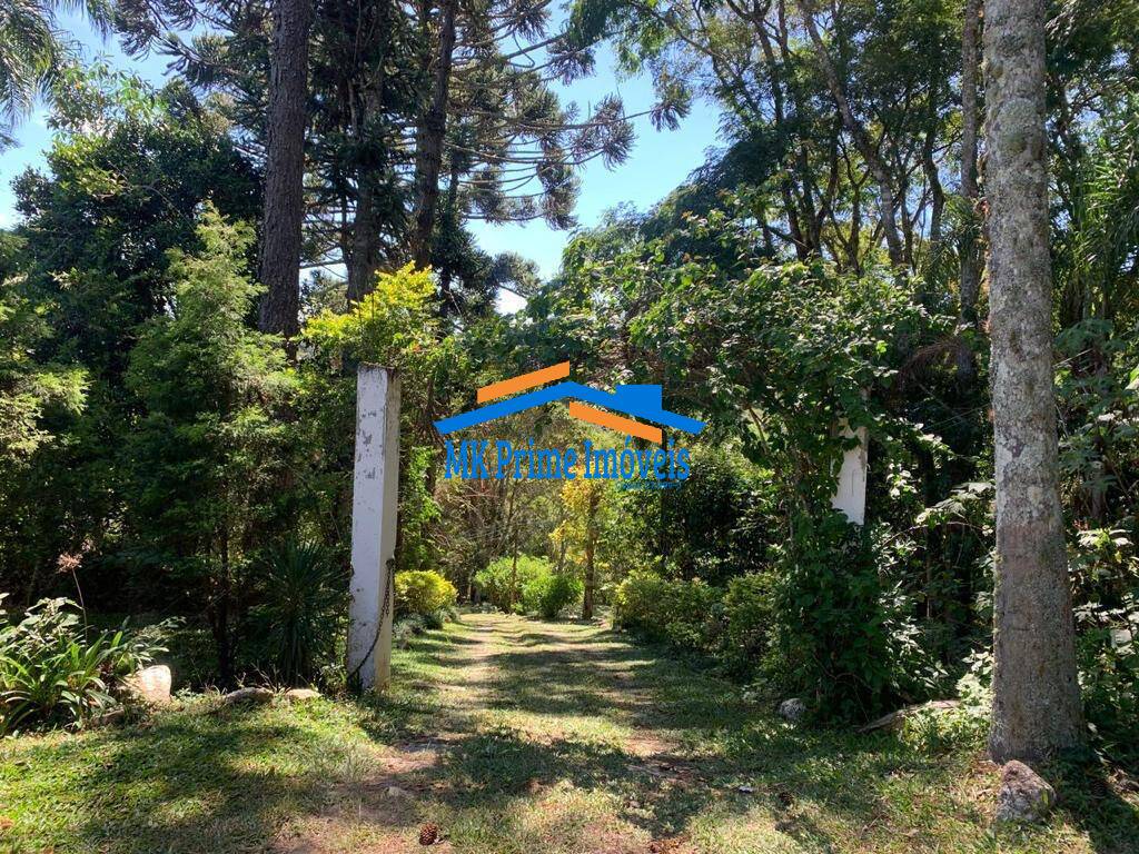 Sítio à venda com 3 quartos, 340m² - Foto 11