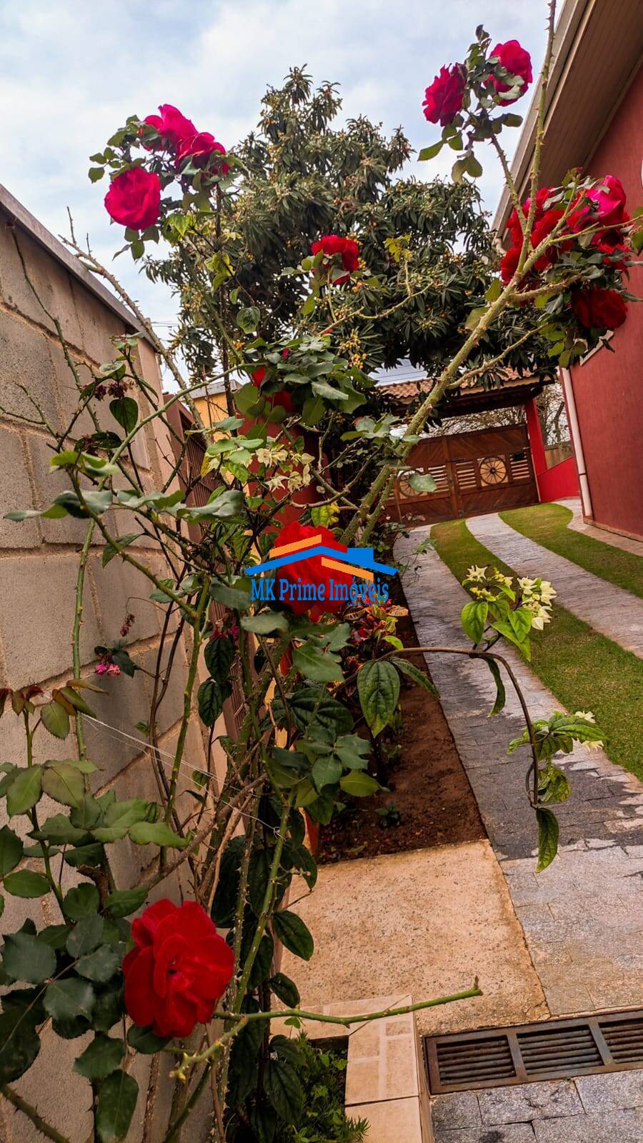 Fazenda à venda com 7 quartos, 440m² - Foto 24