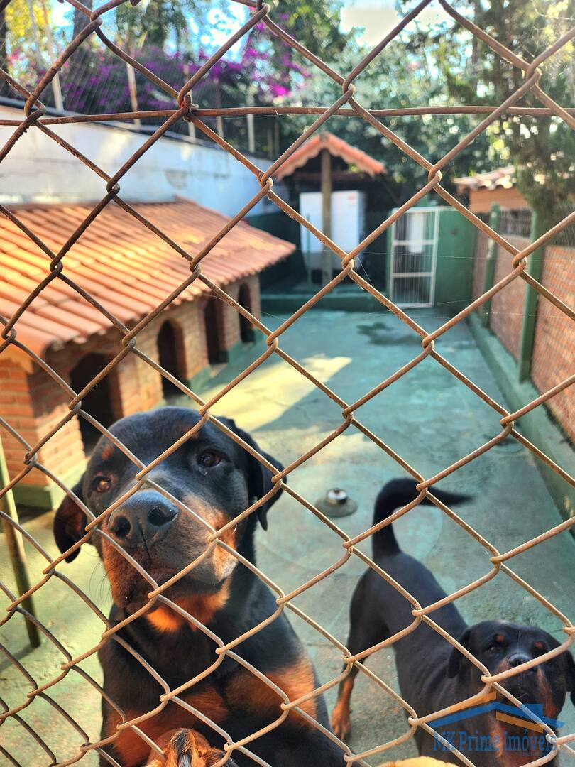 Sítio, 6 quartos, 4 hectares - Foto 46