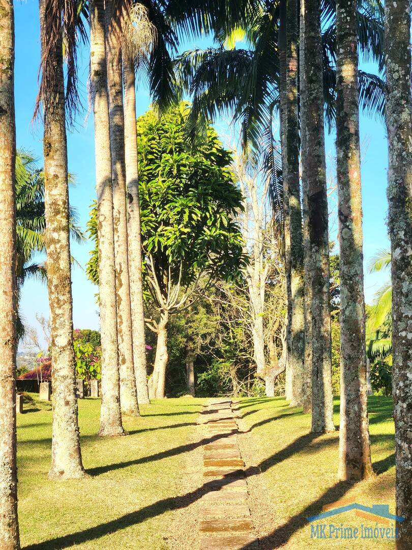 Sítio, 6 quartos, 4 hectares - Foto 47