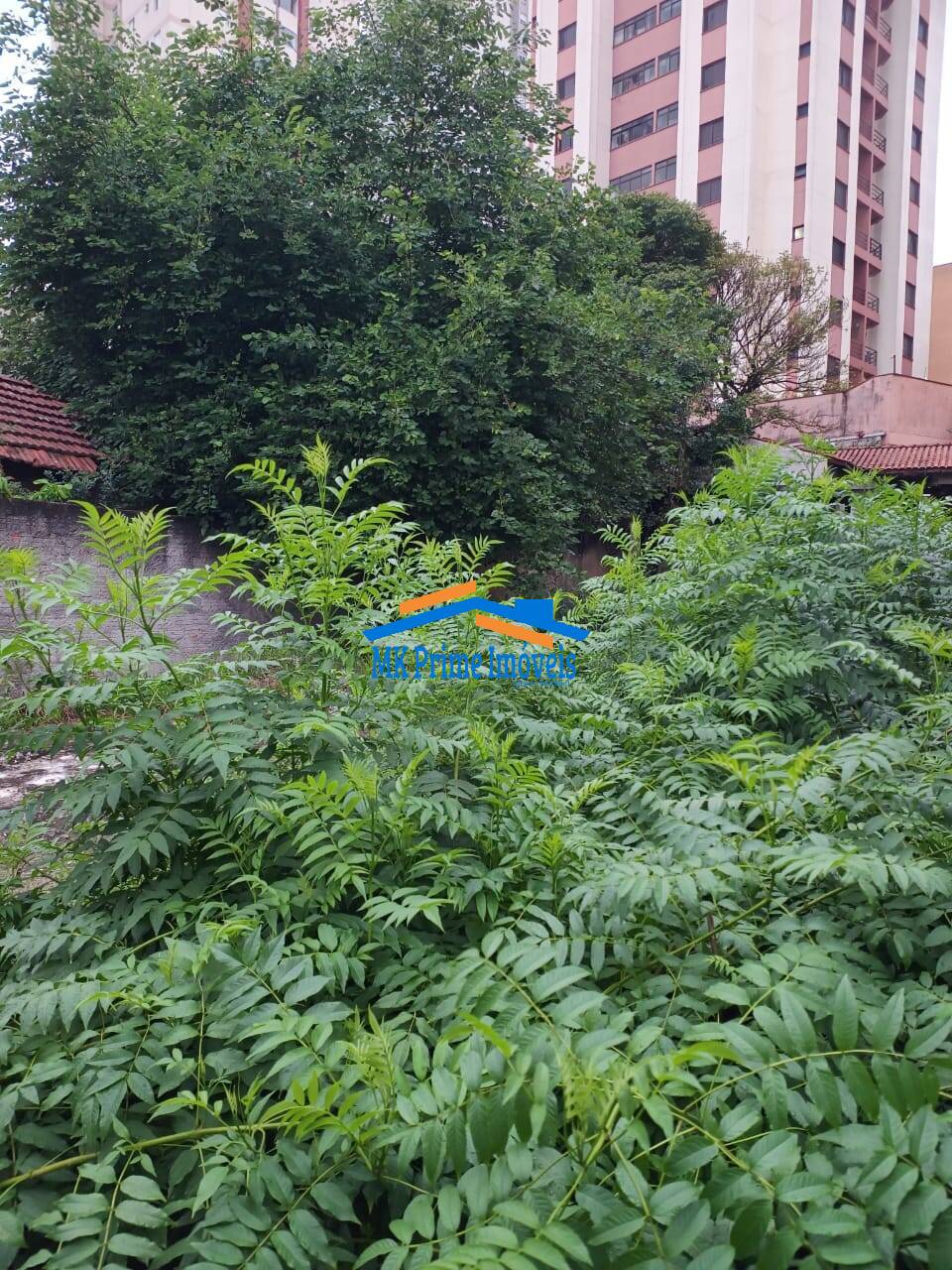 Terreno, 360 m² - Foto 3