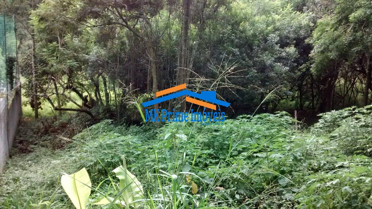 Terreno à venda, 2000m² - Foto 6