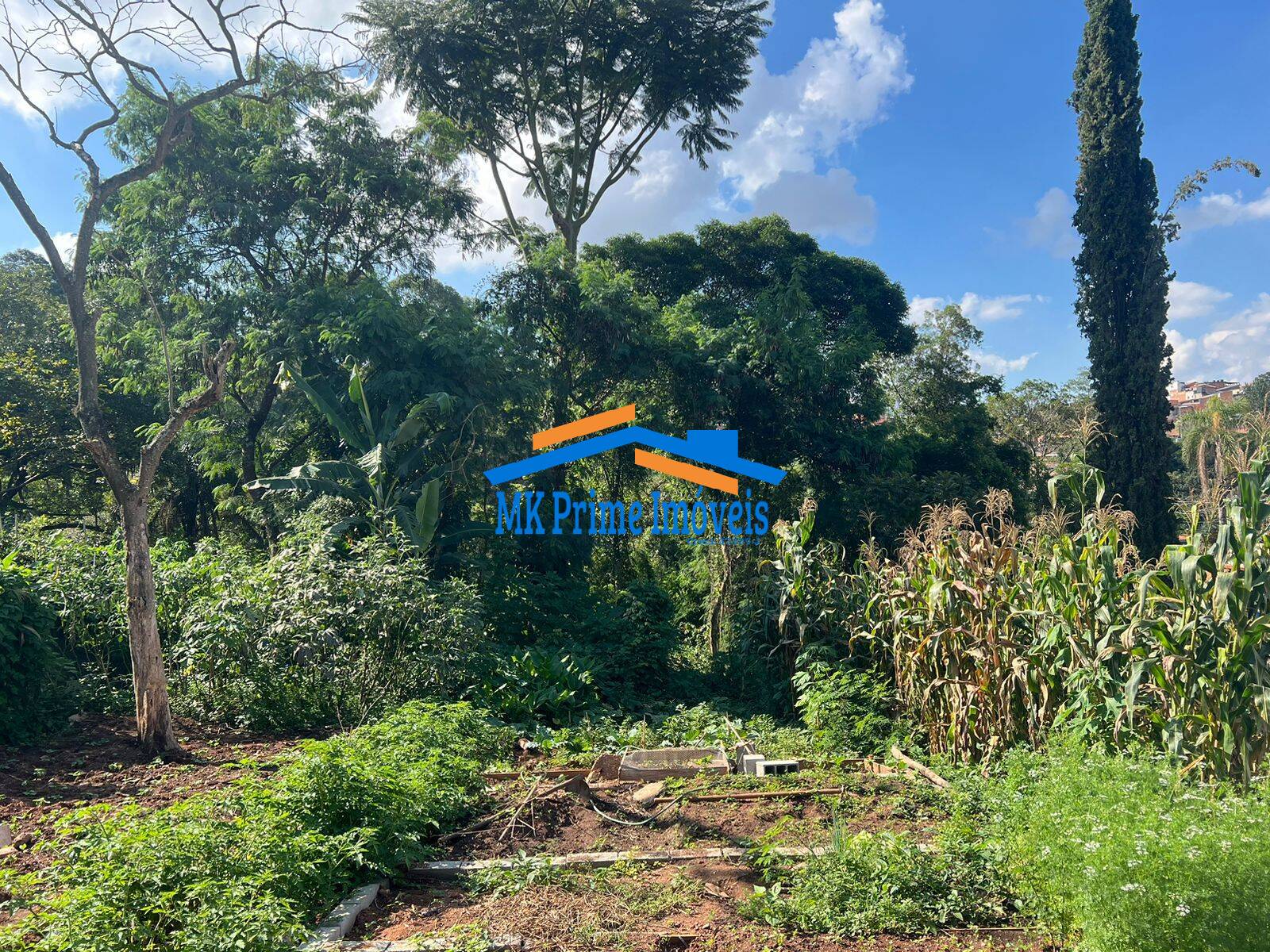 Terreno à venda, 2000m² - Foto 8