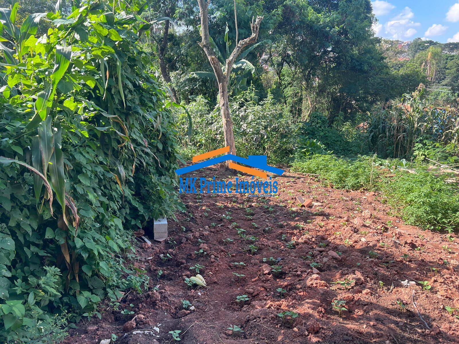 Terreno à venda, 2000m² - Foto 14