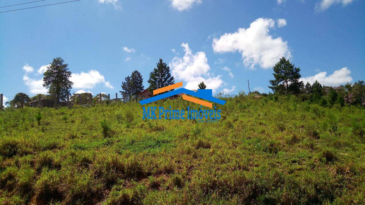 Chácara à venda com 1 quarto, 130m² - Foto 10