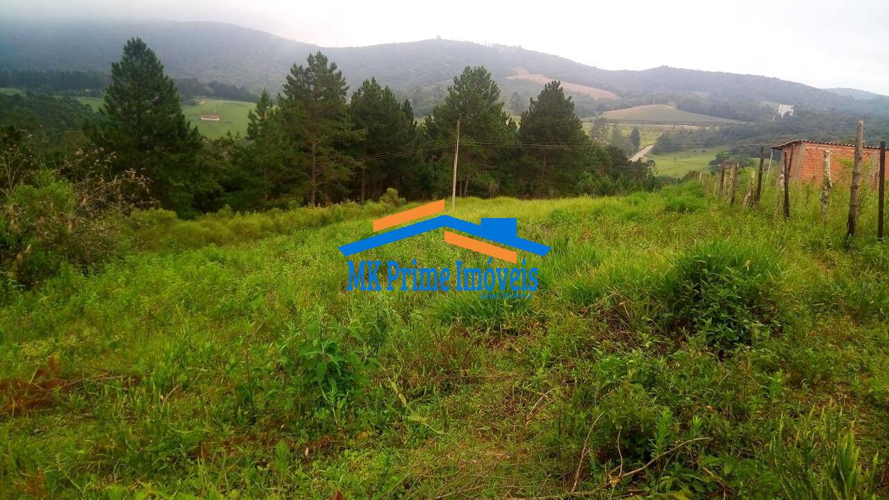 Chácara à venda com 1 quarto, 130m² - Foto 8