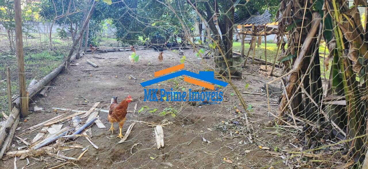 Chácara à venda com 4 quartos, 200m² - Foto 13