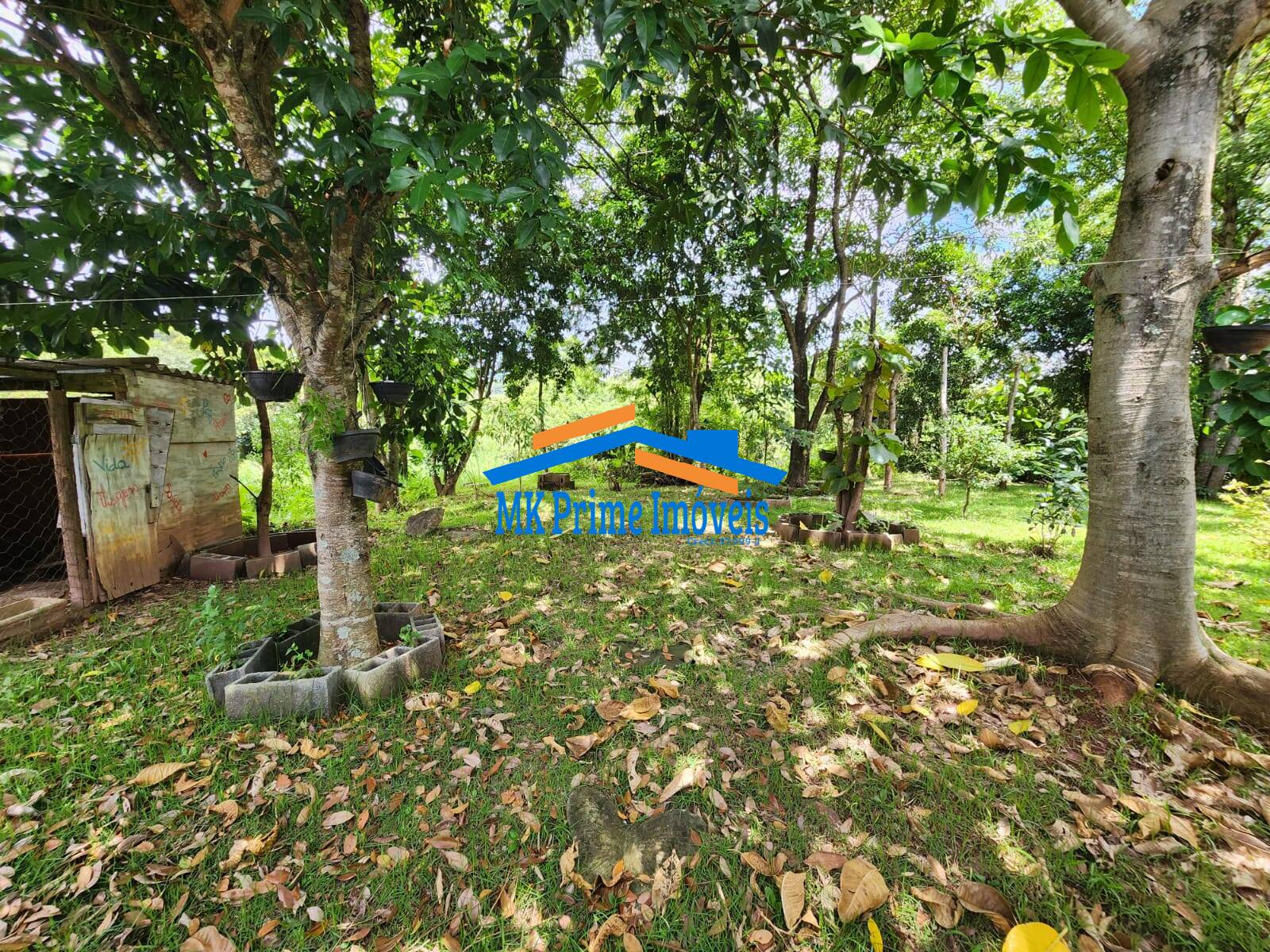 Casa de Condomínio, 5 quartos - Foto 51
