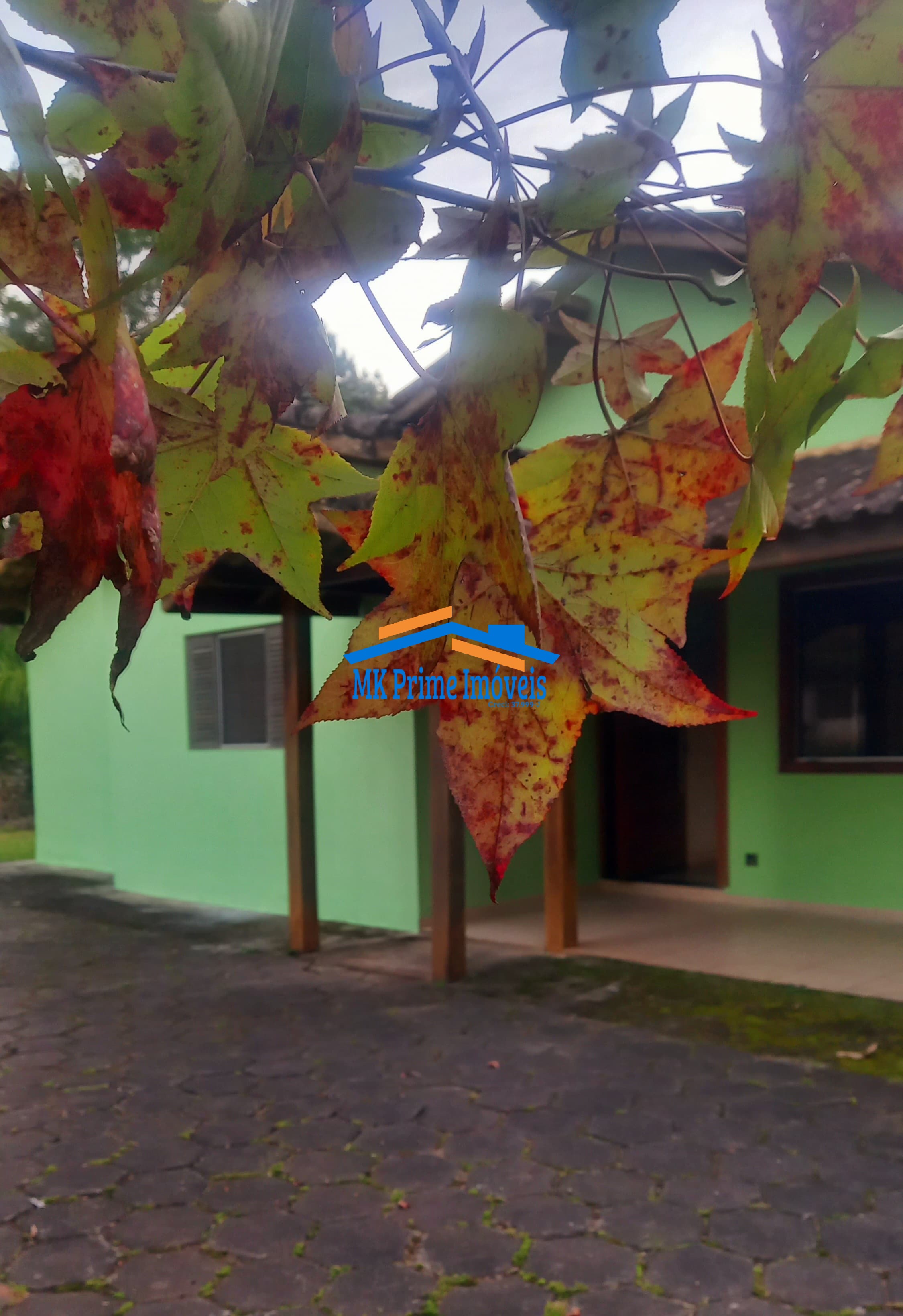 Sítio à venda com 2 quartos, 340m² - Foto 6