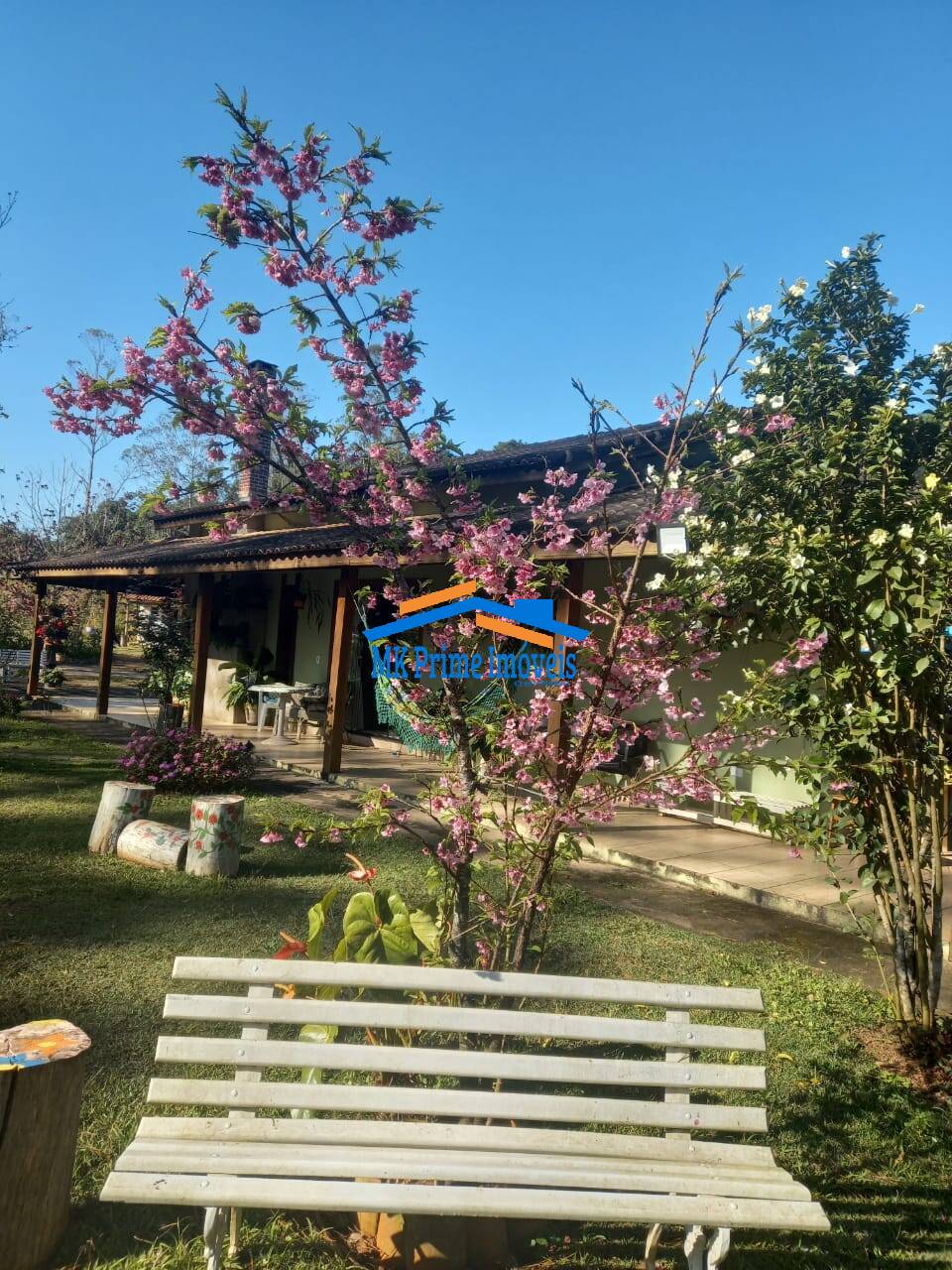 Sítio à venda com 2 quartos, 340m² - Foto 34