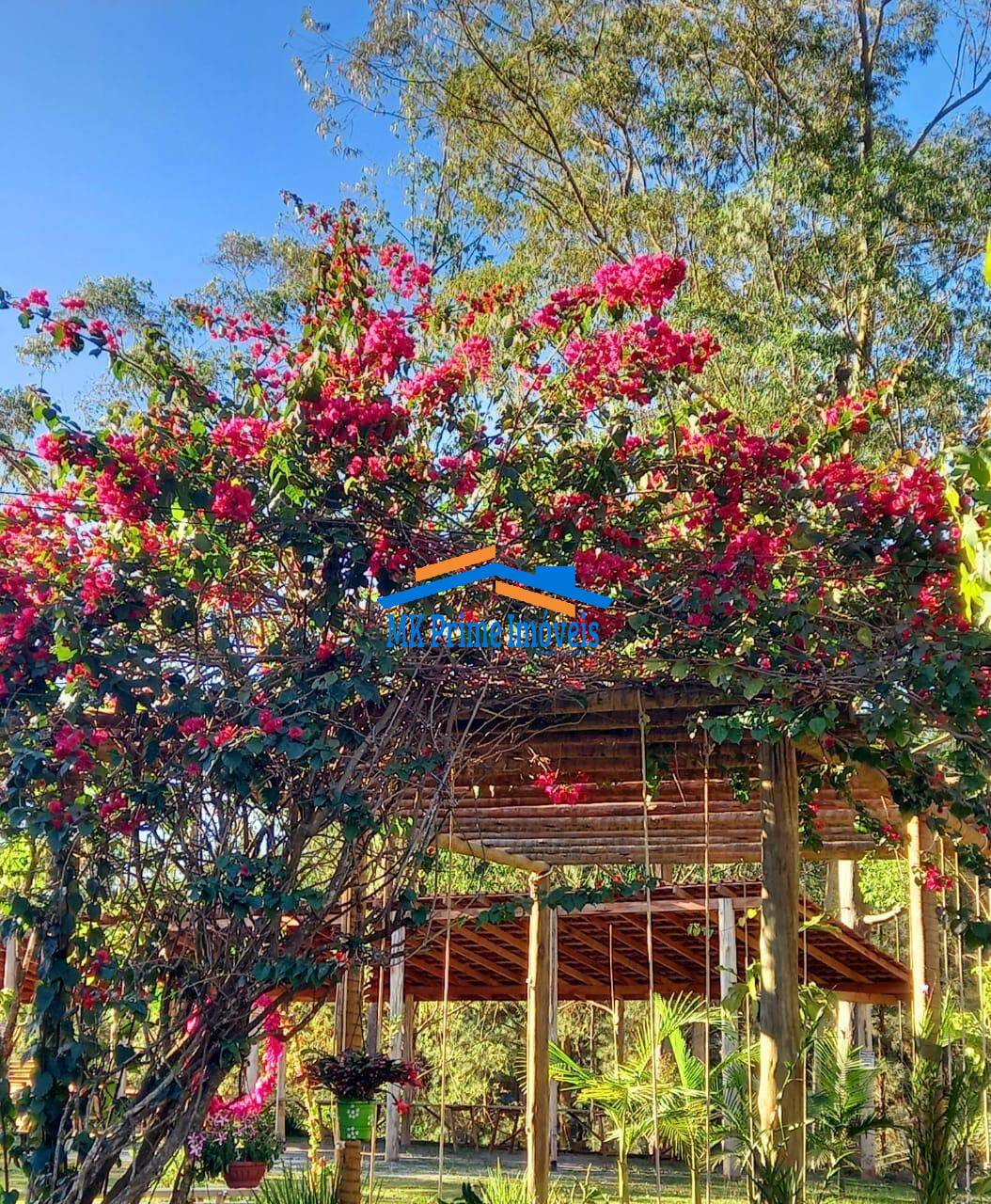 Sítio à venda com 2 quartos, 340m² - Foto 41